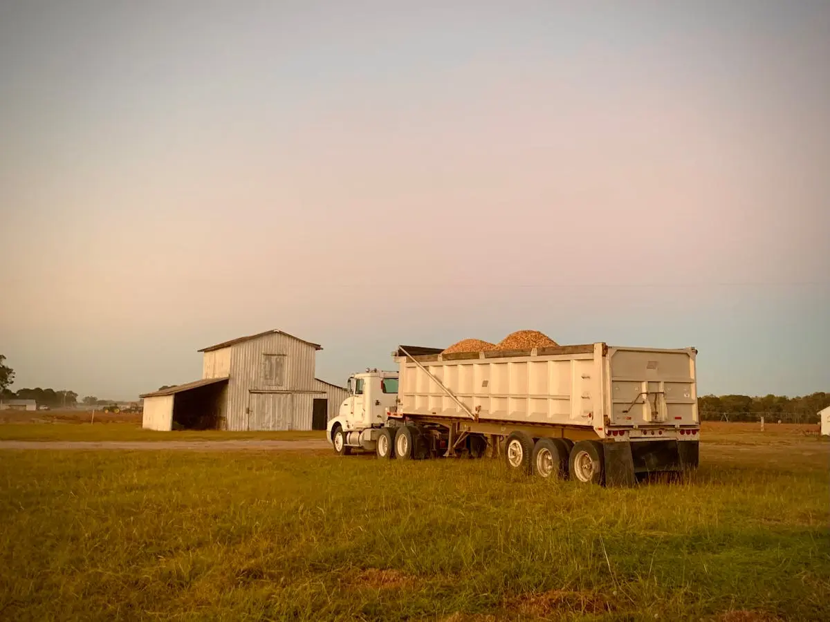 Agribusiness & Food Innovation